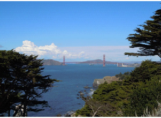 Le pont de San Francisco