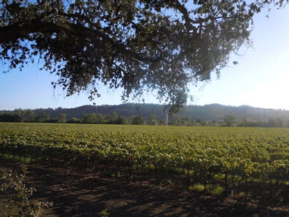 Vallée de Sonoma